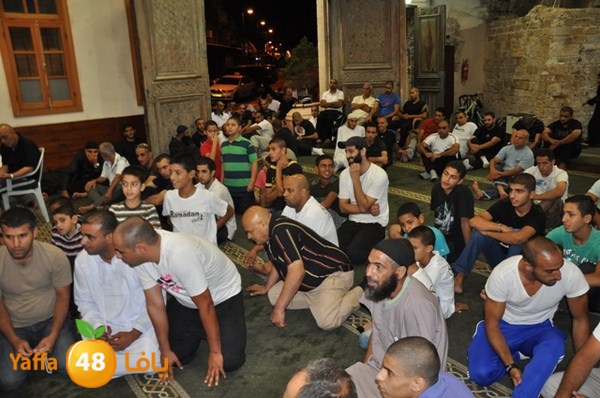 mosabakas eksek (20).JPG